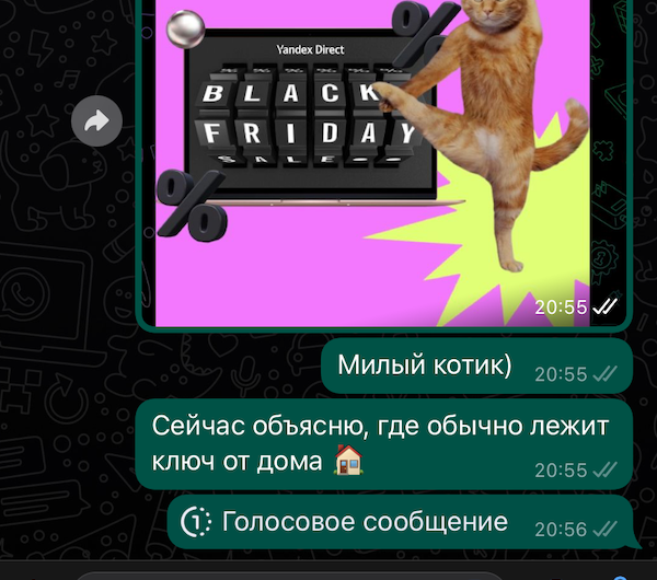 В WhatsApp появилась функция однократного прослушивания для голосовых сообщений