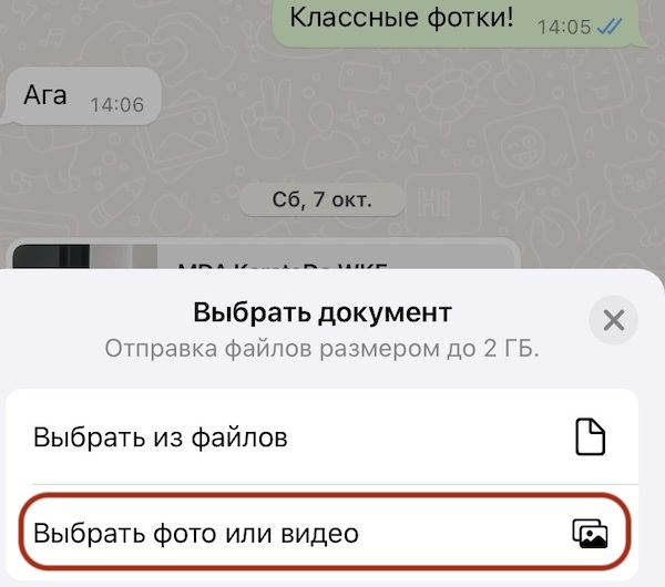 WhatsApp реализует возможность отправки мультимедиа без потери качества